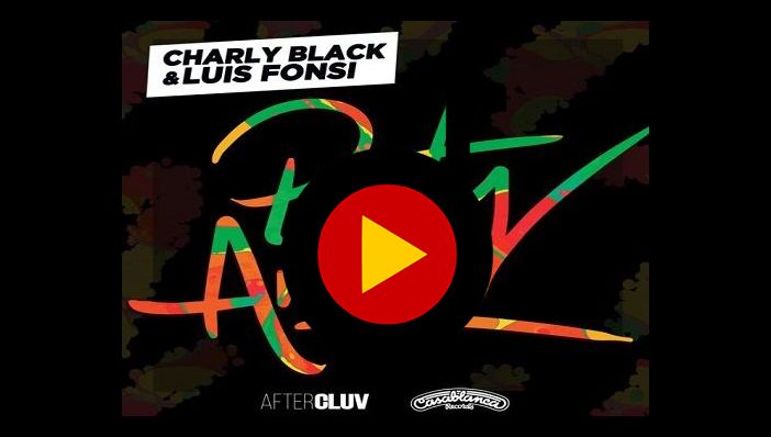 Luis Fonsi & Charly Black - Party Animal