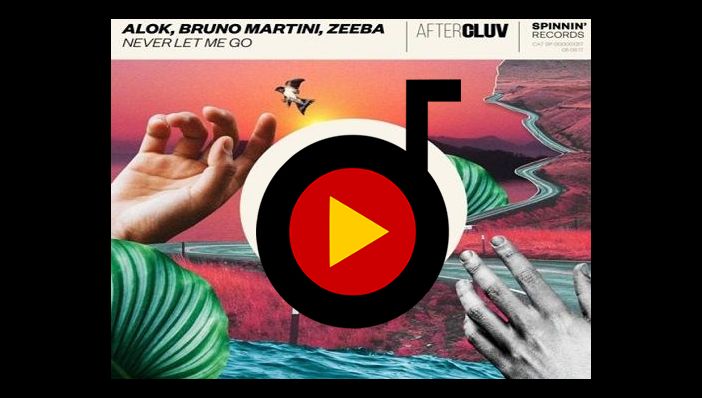 Alok & Bruno Martini & Zeeba - Never Let Me Go