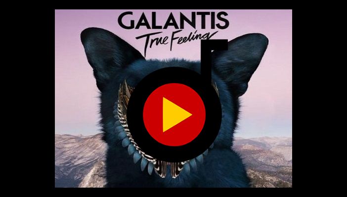 Galantis True Feeling